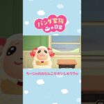 【あつ森アニメ】ちーにゃのおだんごっておいしそう？ｗ　#Shorts #あつ森
