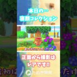 【あつ森】寝顔 コレクション ❤（アイリス）　＃Shorts