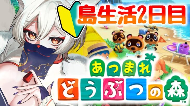 【 #あつ森 】島生活二日目！Switch 2で1から始める無人島生活/あつまれどうぶつの森【狐乃里しらほ】 #vtuber #shorts