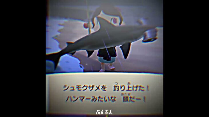 兄ちゃんのSwitchの方のあつ森のデータでタランチュラ島来て1週間前ぐらいに金持ちになれた！これであのタヌキに金を出して新しく家を広くしないと（？） #下書き