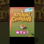 【あつ森】Switch2の多言語版であつ森をプレイしたら奇跡が起きた！ #あつ森 #あつまれどうぶつの森