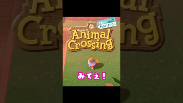 【あつ森】Switch2の多言語版であつ森をプレイしたら奇跡が起きた！ #あつ森 #あつまれどうぶつの森