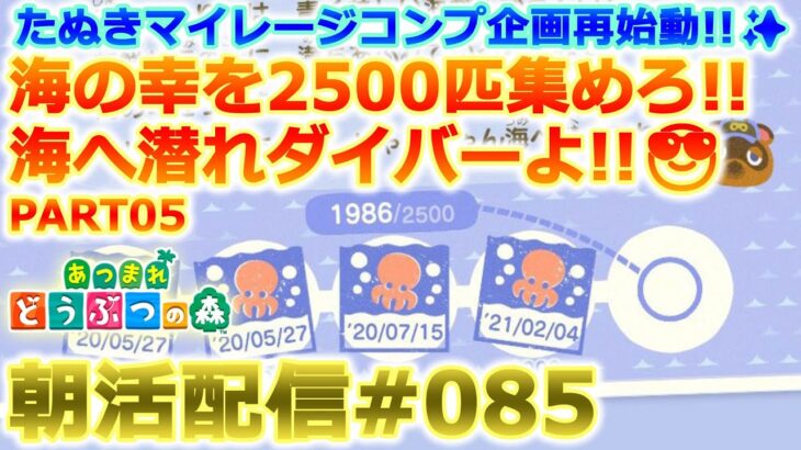 【あつ森】Switch2が欲しい男の海の幸2500匹捕獲する朝活配信#085【島クリ】