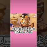 TPOをわきまえる愛されビス【あつ森】#shorts  #あつ森