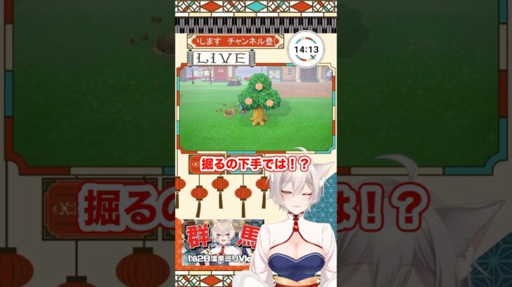 【 #あつ森 】化石掘りがあまりにも下手すぎるきつね系VTuber【狐乃里しらほ】 #vtuber #shorts