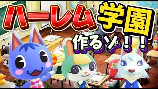 【あつ森】ハーレム学園作るゾ！！！ハッピーホームパラダイス編〜 新人Vtuber〜 あつまれどうぶつの森