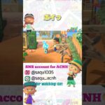 【ポイっ】#あつ森 #acnh #どうぶつの森 #animalcrossing #あつ森ショート #short #shortyoutube #ハチヘッド