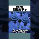 【あつ森】神引きした離島ガチャで大興奮 #あつ森 #あつまれどうぶつの森 #acnh #ゲーム実況 #shorts