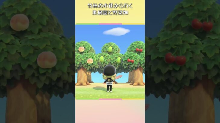 《あつ森》案内所横から竹林の径の先にある果樹園🍎と野菜畑🥕｜animalCrossing｜島クリエイター｜島クリエイト｜#shorts