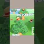 スローライフ情緒不安定な日もあります #あつ森 #あつまれどうぶつの森 #animalcrossing #ゲーム実況
