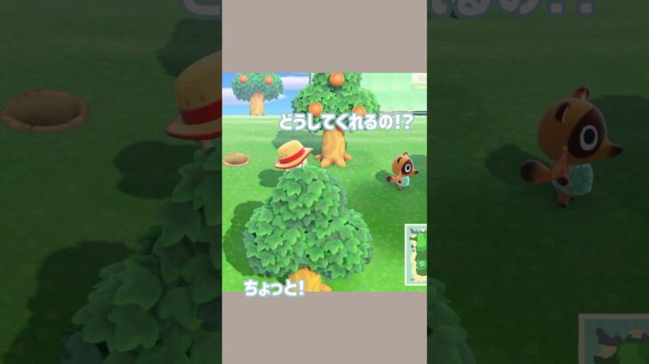 スローライフ情緒不安定な日もあります #あつ森 #あつまれどうぶつの森 #animalcrossing #ゲーム実況
