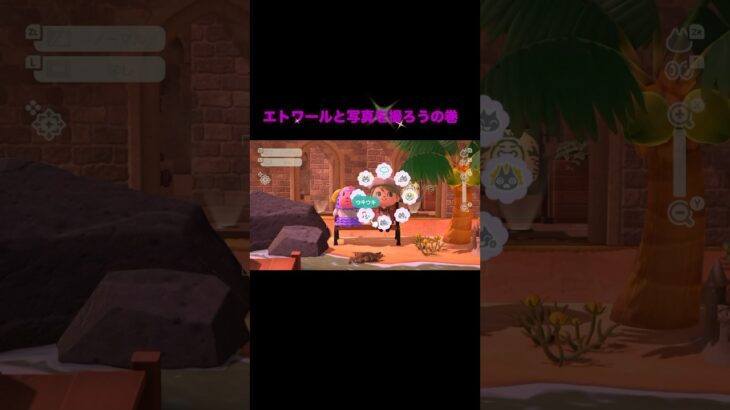 たくさん写真撮りたかったのに…📸 #あつ森 #あつまれどうぶつの森 #あつ森好きな人と繋がりたい #animalcrossing #おかめなっ島 #acnh #shorts #コント #エトワール