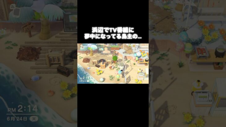 ビビりな島主💦 #あつ森 #あつまれどうぶつの森 #あつ森好きな人と繋がりたい #animalcrossing #ゆめみ #おかめなっ島 #acnh #shorts #びっくり #コント #恐怖