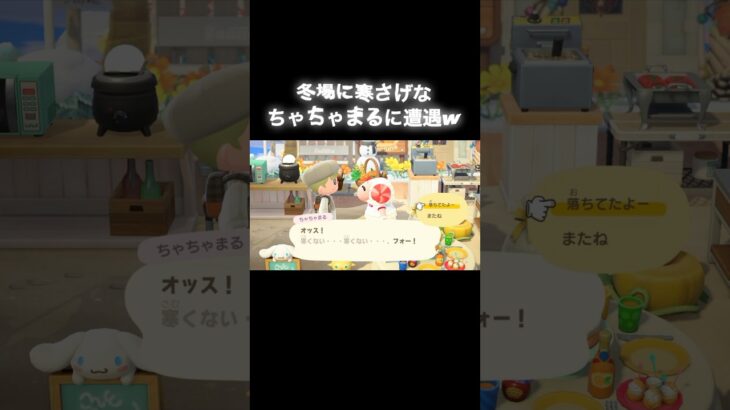 オトシモノ② #あつ森 #あつまれどうぶつの森 #あつ森好きな人と繋がりたい #animalcrossing #おかめなっ島 #acnh #shorts #落し物 #comedy #ちゃちゃまる