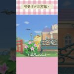 【あつ森】可愛すぎ注意報🩷 #あつ森 #あつまれどうぶつの森 #animalcrossing #acnh #shorts #かわいい #cute