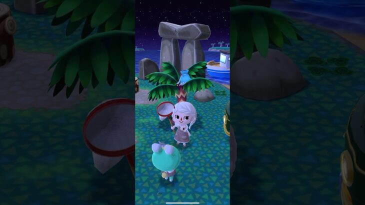 ポケ森 #animalcrossing #dantdmanimalcrossing #あつまれどうぶつの森 #あつ森 #animalcrossingnewhorizons #ポケ森しか勝たん