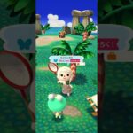 ポケ森 #animalcrossing #dantdmanimalcrossing #ポケ森しか勝たん #あつまれどうぶつの森 #あつ森 #animalcrossingnewhorizons
