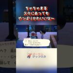 ちゃちゃまる、久々にあってもやっぱりかわいいな〜#あつ森 #animalcrossing #shorts
