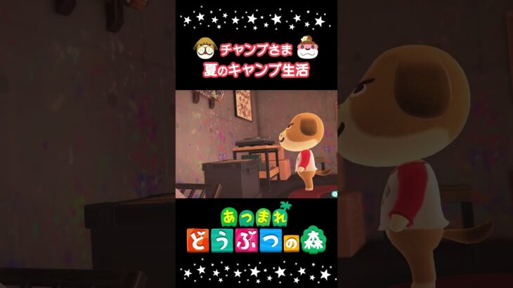 🌲別荘🐶チャンプ #あつまれどうぶつの森  #あつ森 #animalcrossing #shorts