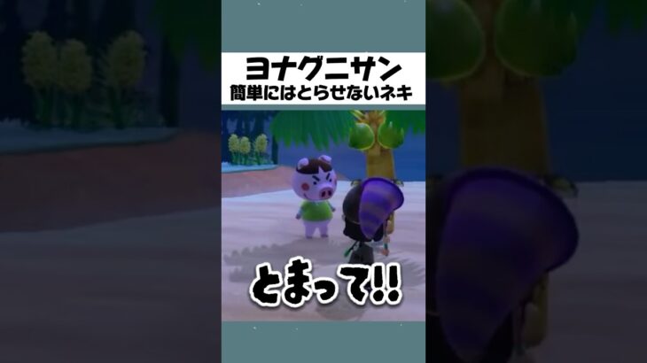 【あつ森】簡単に採れたらつまらないよね？だわさ #あつ森 #あつまれどうぶつの森 #ゲーム実況 #animalcrossing #shorts