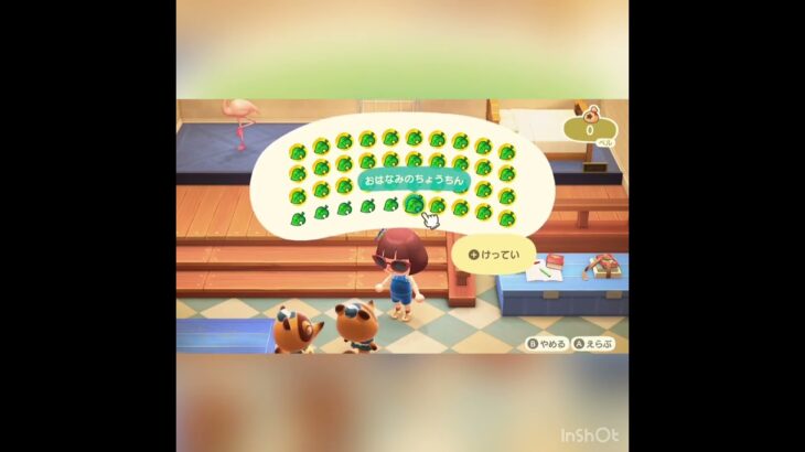 いくらかな？　#あつ森 #あつまれどうぶつの森 #あつまれどうぶつのもり #animalcrossing #vlog #asmr #acnh #shorts  こはくちゃんねる2424