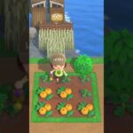 お野菜収穫#あつ森#asmr