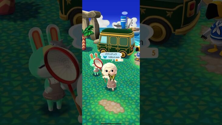ポケ森 #あつまれどうぶつの森 #dantdmanimalcrossing #あつ森 #ゲーム #animalcrossing #animalcrossingnewhorizons