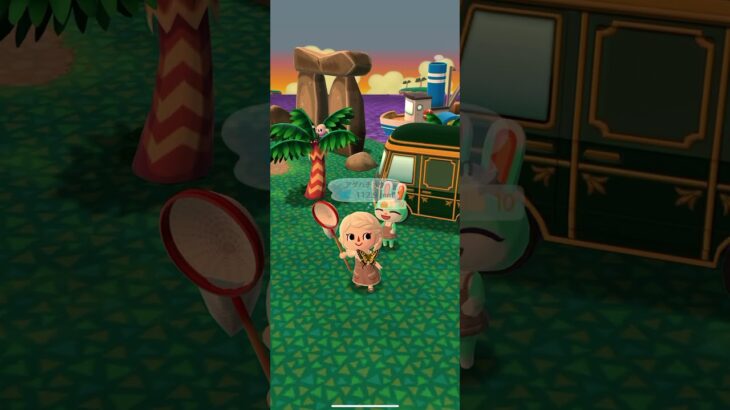 ポケ森 #あつまれどうぶつの森 #dantdmanimalcrossing #あつ森 #ゲーム #animalcrossing #animalcrossingnewhorizons