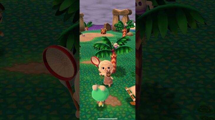 ポケ森 #あつまれどうぶつの森 #dantdmanimalcrossing #あつ森 #animalcrossing #ゲーム #どうぶつの森 #animalcrossingnewhorizons