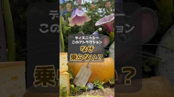 【ディズニーシー】このアトラクションなぜ乗らない？ #disney #ディズニー #ディズニーシー