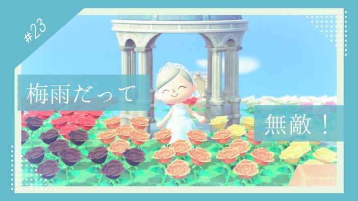 【#あつ森 】【#ゲーム実況 / gameplay】雨でもまったりタイム【天泣しるく】【個人Vtuber】