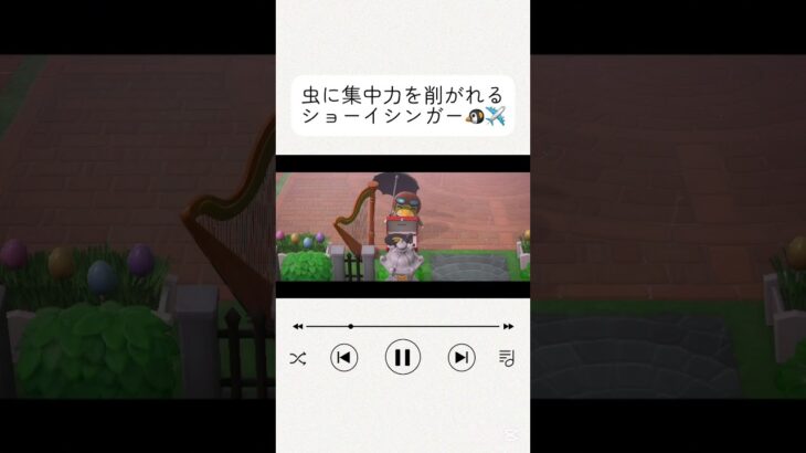 【愛おしき集中力のなさ】 #ゲーム実況 #nintendo #switch #あつ森