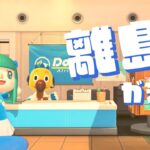 【あつ森】チーズ君orサラちゃんを探す離島ガチャ【雑談OK】