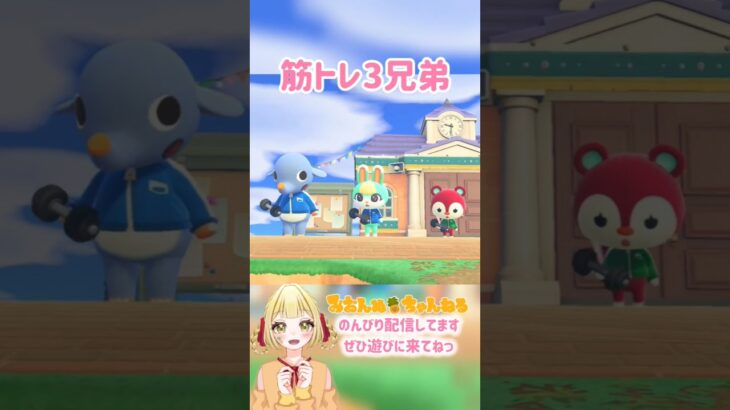 かわいい３人が並んで… #みおんぬ #short #あつ森 #あつまれどうぶつの森