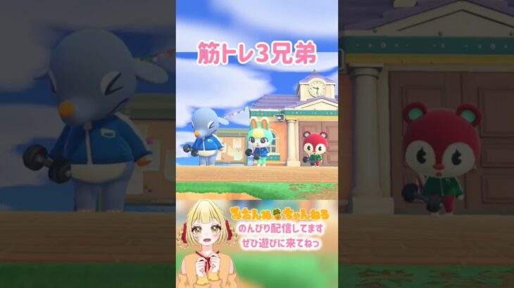 【上げ直し】かわいい３人が並んで… #みおんぬ #short #あつ森 #あつまれどうぶつの森