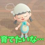 【あつ森】そろそろきれいなお花を・・🌸 #shorts #あつ森 #あつまれどうぶつの森 #ゲーム実況
