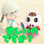 【あつ森】お人形に囲まれたいの🐷？！ #shorts #あつ森 #あつまれどうぶつの森 #ハッピーホームパラダイス #ハピパラ#ゲーム実況