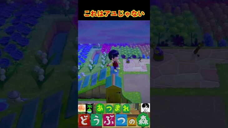 これはアユじゃない #あつまれどうぶつの森 #shorts #あつ森