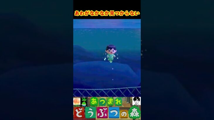 泡がなかなか見つからない #あつまれどうぶつの森 #shorts #あつ森