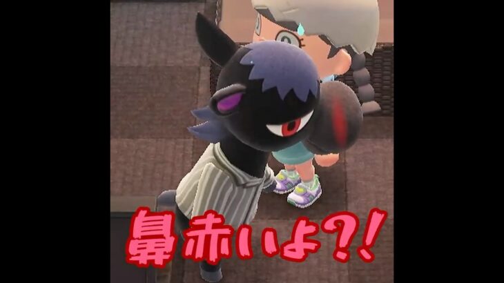 【あつ森】鼻赤いよ🤧！？シュバさん？！？！#shorts  #あつ森 #あつまれどうぶつの森 #ゲーム実況