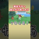 初動からドタバタの離島ガチャ【あつ森】#shorts  #あつ森 #離島ガチャ
