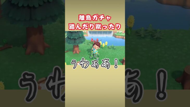 初動からドタバタの離島ガチャ【あつ森】#shorts  #あつ森 #離島ガチャ