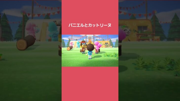 パニエルとカットリーヌ　#shorts  #あつ森
