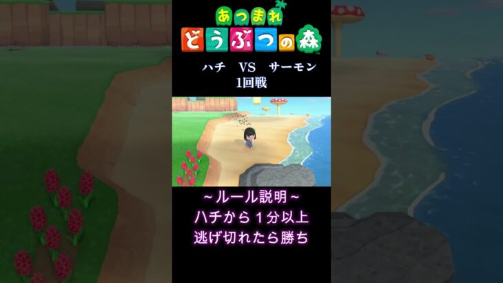 【あつ森】ハチから逃げ切れ！ハチ逃げチャレンジ#shorts #あつ森