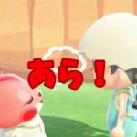 【あつ森】ペットがほしいのかな・・・？！ #shorts #あつ森 #あつまれどうぶつの森 #ゲーム実況