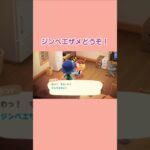 ジンベエザメどうぞ！　#shorts   #あつ森