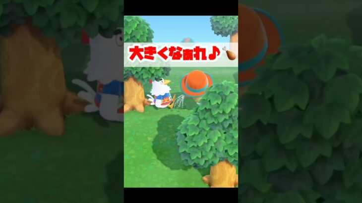【あつ森】仲良くなりたいだけなのに  ＃shorts #あつまれどうぶつの森 #あつ森 #ゲーム #どうぶつの森
