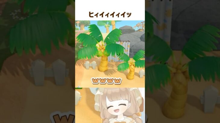 叫び声注意 🐢 カミツキガメのこれ知ってた？ #shorts #あつ森