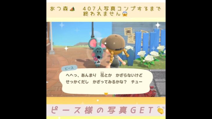 【あつ森🏕️】写真コンプするまで終われません😱#shorts
