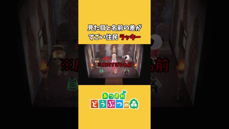 【あつ森】アンラッキーすぎる住民「ラッキー」 #shorts